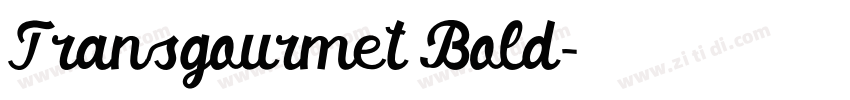 Transgourmet Bold字体转换